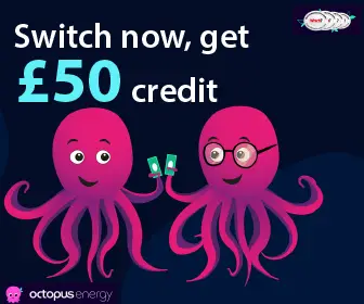 Octopus-Energy-336×280